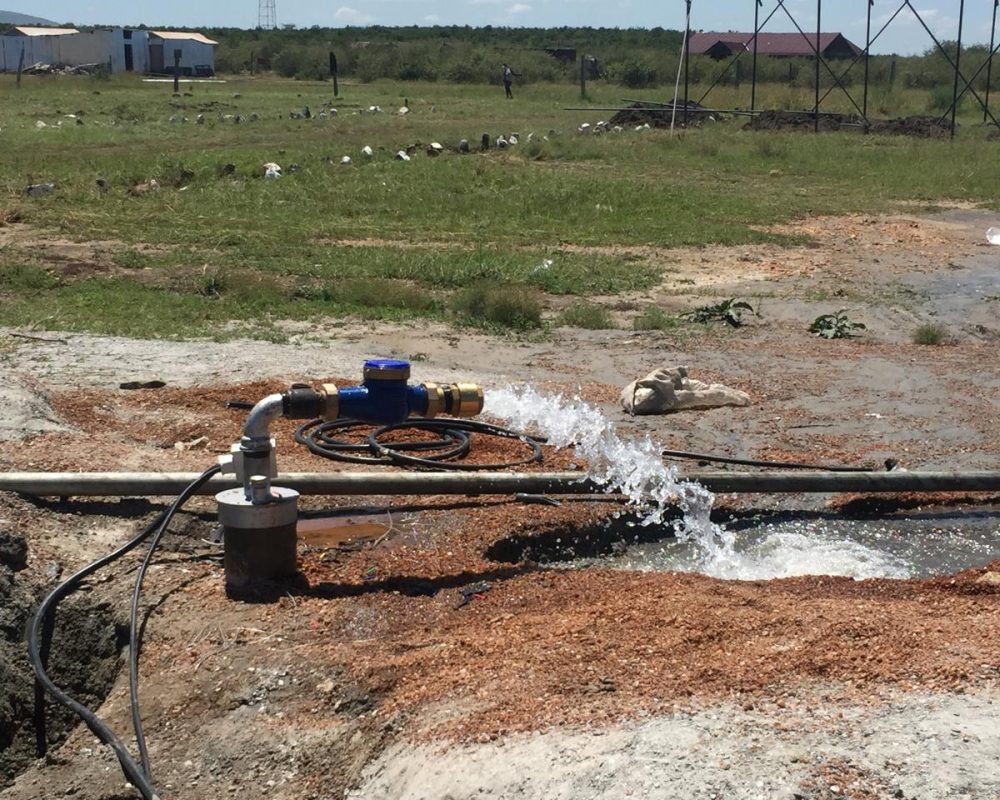 WhatsApp Image 2025-10-20 at 14.44.16_3f4d659f